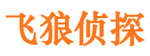 屏边侦探公司